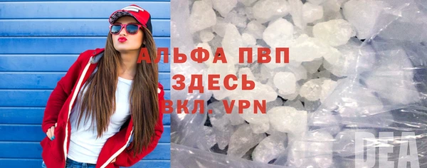 амф Бородино