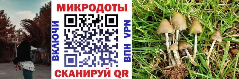 Галлюциногенные грибы Magic Shrooms  Купить где  Мурино 