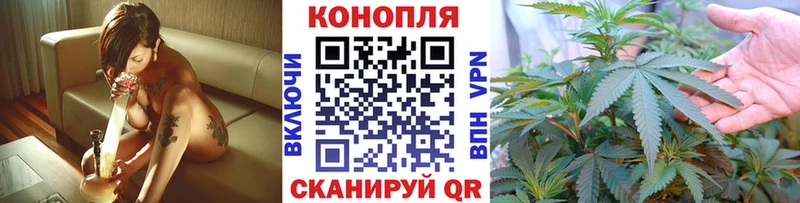 Купить  Мурино  Конопля план 